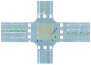 網(wǎng)狀線(xiàn)
